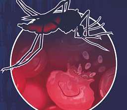 Malaria alert in Malappuram; 3 test positive