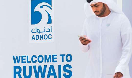 UAE's maiden chemicals port soon at Ruwais