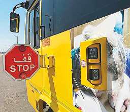 Parents not allowed in school buses