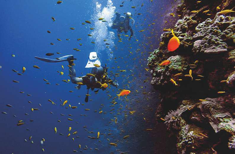 Abu Dhabi launches 'richest seas' initiative