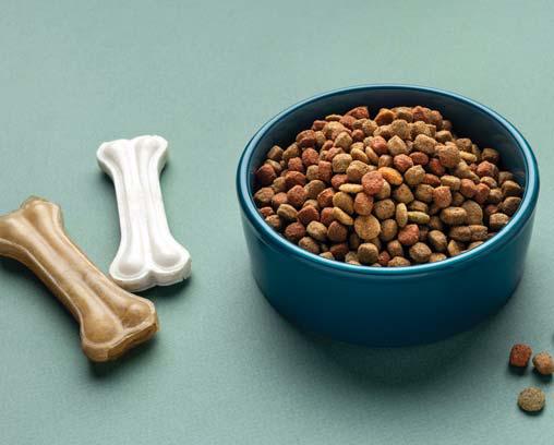 Reliance RCPL enters pet-care market with 'Waggies'