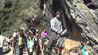 Uttarakhand heightens alert as equine influenza detected along Char Dham Yatra route