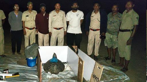 Two Olive Ridleys make a 1,000 km run to Sri Lanka in a month