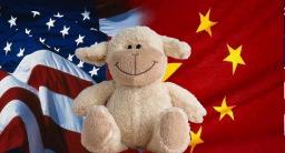 Toys in the line of fire: Children caught in US-China tariff war
