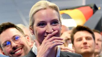 Germany's AfD dealt blow as intelligence service labels it right-wing extremist group