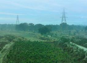 On Biodiversity Day, Vedanta Aluminium Announces Multiple Initiatives to Protect Wildlife and Restore Habitats Across Its Operations