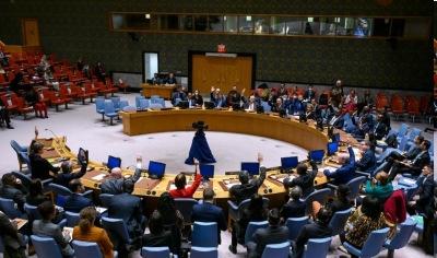 Pakistan blocking appointment of chairs of UN Security Council committees dealing with terrorism