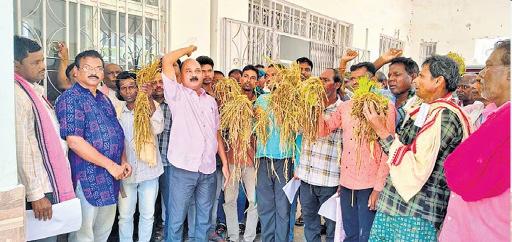Odisha farmers protest demanding government intervention after crop damage by untimely rain