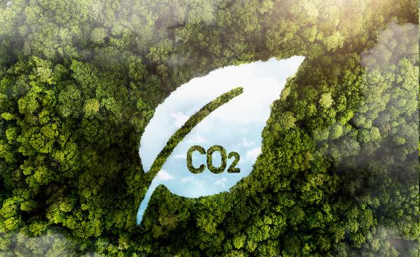 Embed Indian carbon market in global trade context