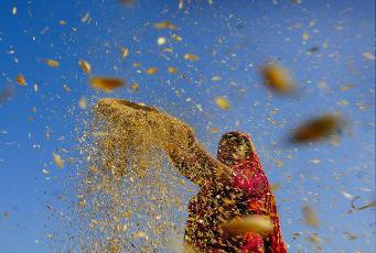 Maa Biraja self-help group gets relief in paddy procurement case