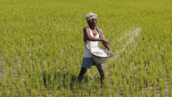 Chhattisgarh's first govt-led cold chain and irradiation facility to boost tribal incomes in Dantewada
