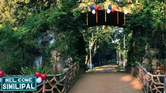 Orissa High Court issues notice over ban on tribal ritual in Similipal Tiger Reserve