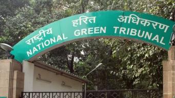NGT orders lessee to pay Rs 25 lakh for illegal mining in Odisha