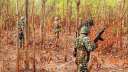 16 Naxalites surrender in Chhattisgarh's Narayanpur citing exploitation, ‘hollow’ ideology