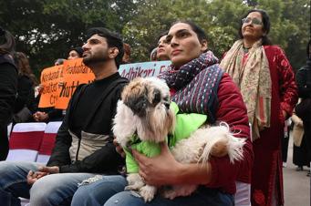 Stray dogs case: Supreme Court asks, 'don't chickens, goats have lives?'