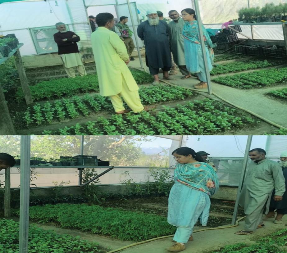 DC Kupwara visits Deedikoot, lauds innovative farmer