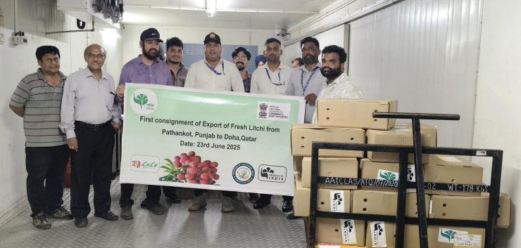 India Flags Off First Consignment of Rose-Scented Litchi from Pathankot to Qatar