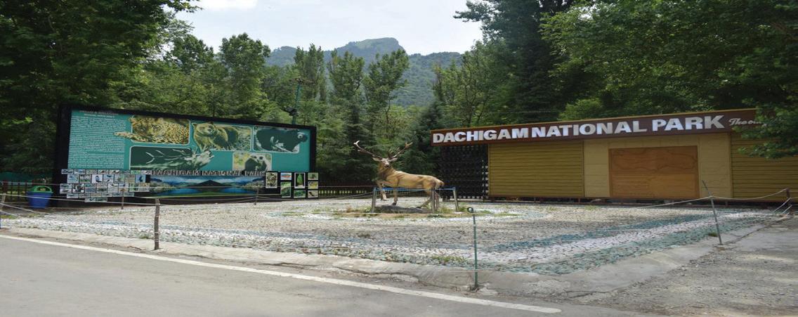 J&K tops in protected areas management; Rana lauds wildlife protection department