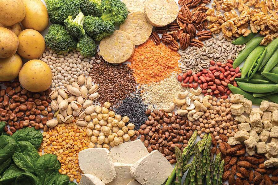 Unpacking the Rise of Plant-Based Proteins