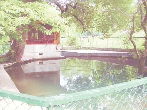 After 4 decades, KPs return to Wasak Nag Temple in Chadoora