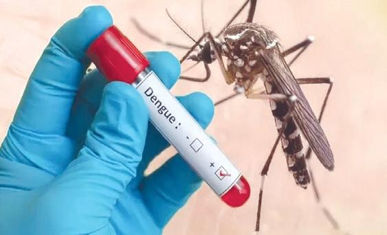 Dengue cases cross 1,100 mark in J&K this year