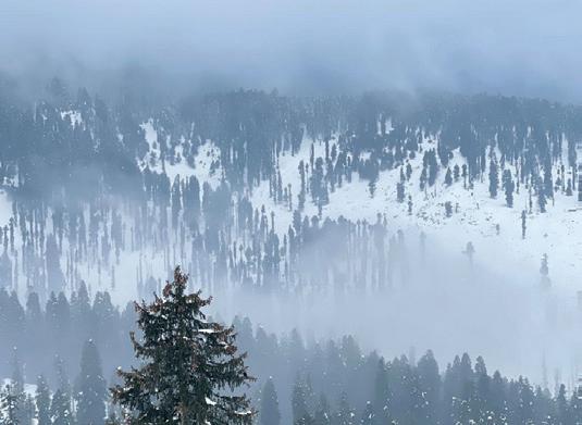 Higher reaches receive snowfall as temperatures rise across Kashmir