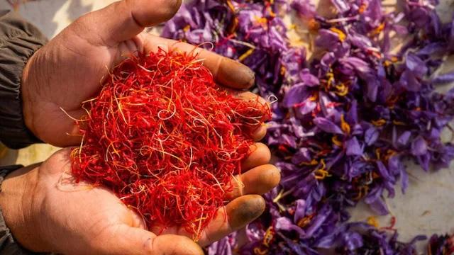 Kashmir saffron prices soar 50% as production plunges to all-time low