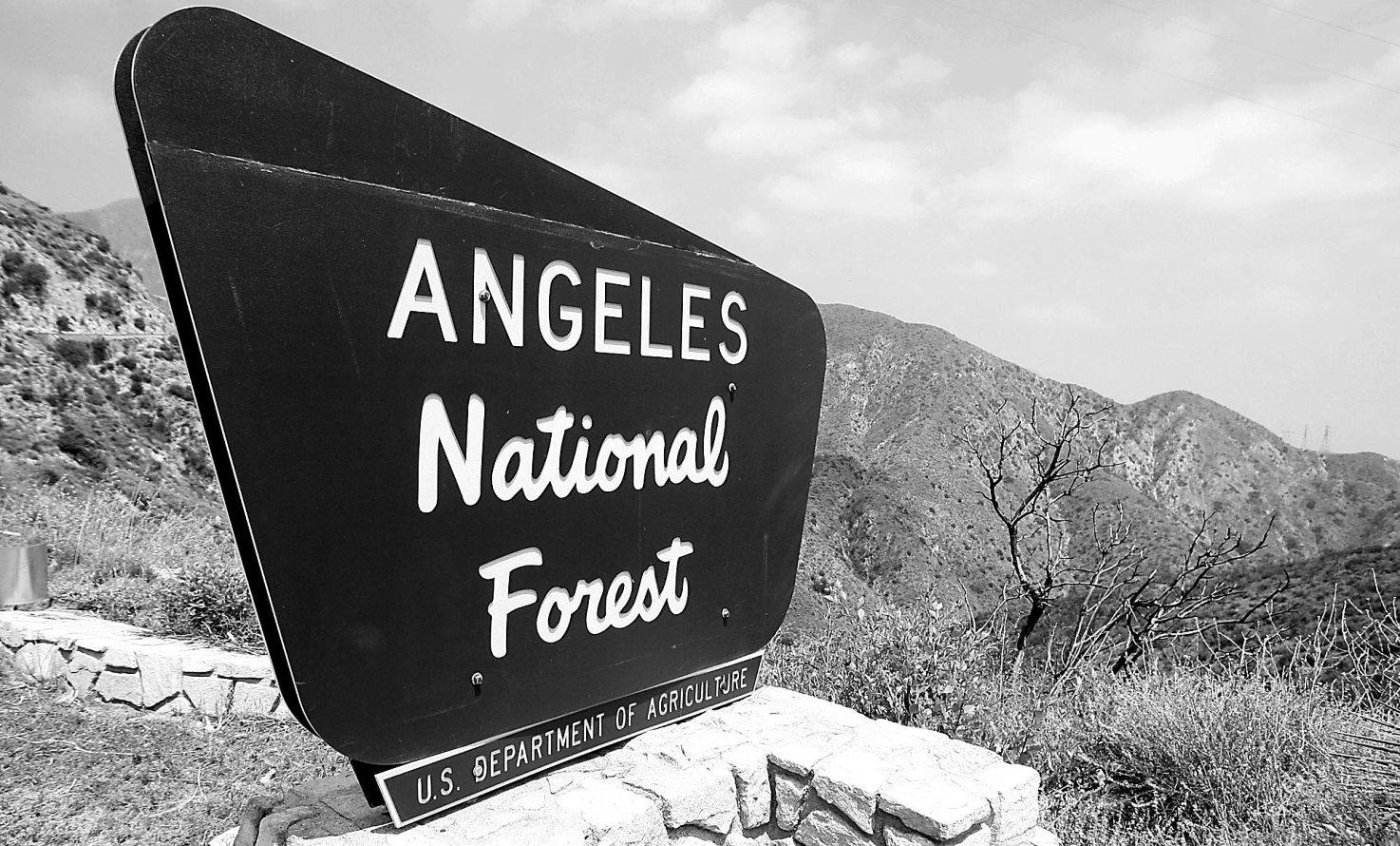 Officials seek husband of woman whose body found in forest