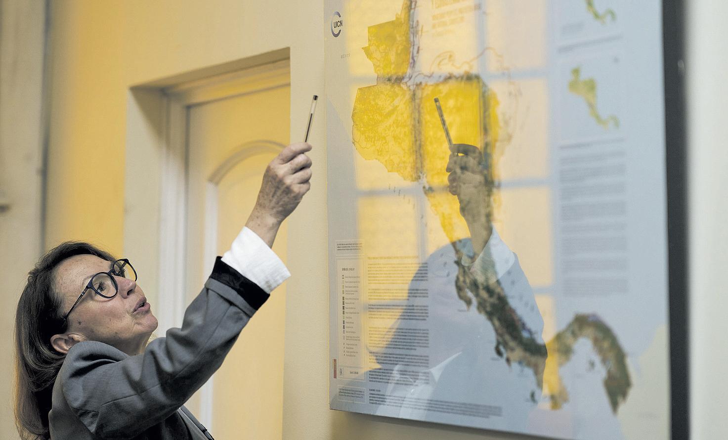 Cross-border forest reserve faces major hurdles