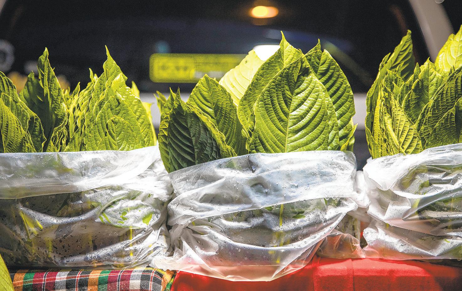 Parts of California and the U.S. are banning kratom. Here's why