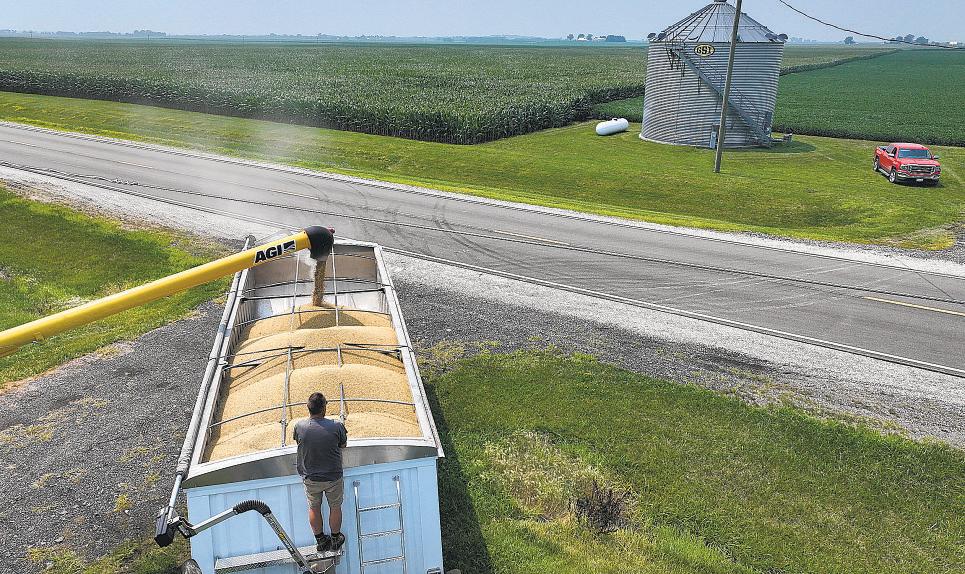 Anxious farmers reduce spending in threat to rural economy