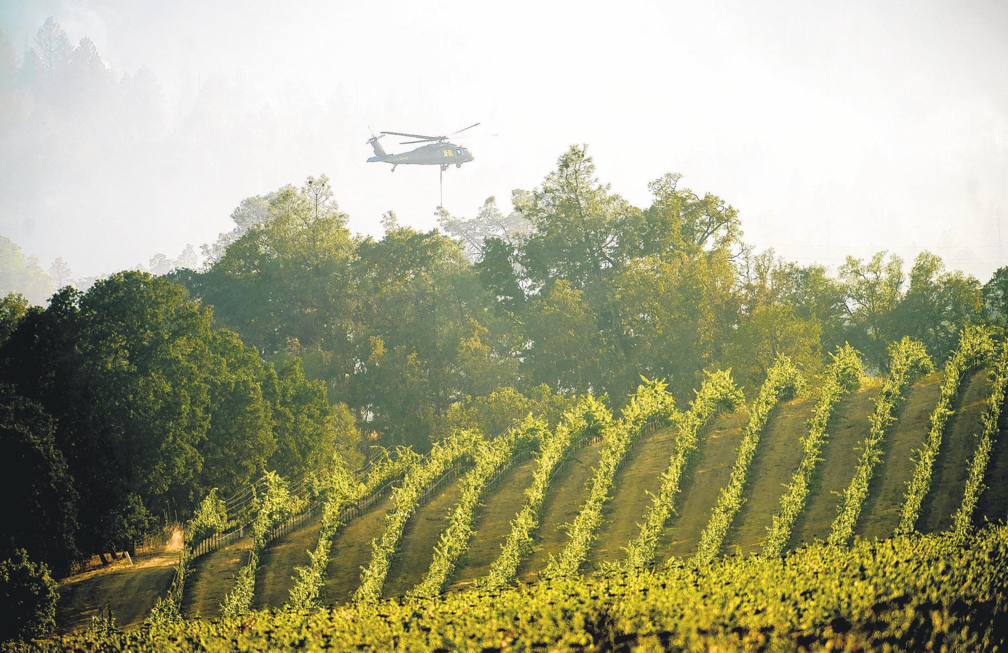 Winery's role in fire at center of probe