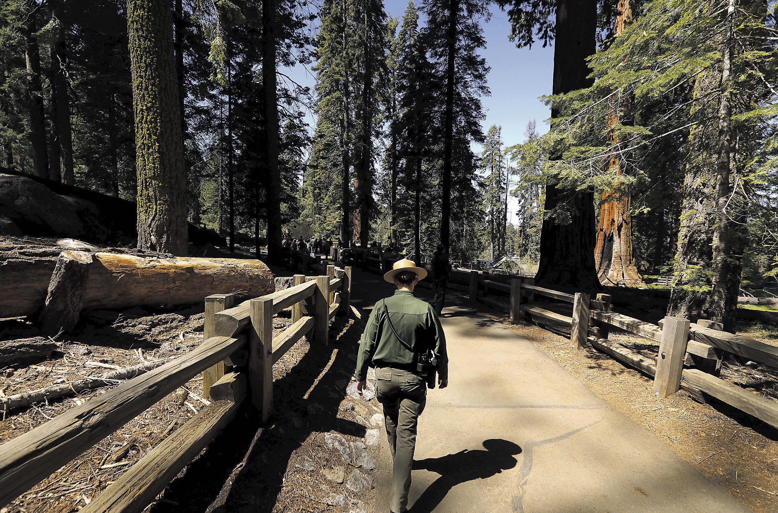 National park workers in California unionize