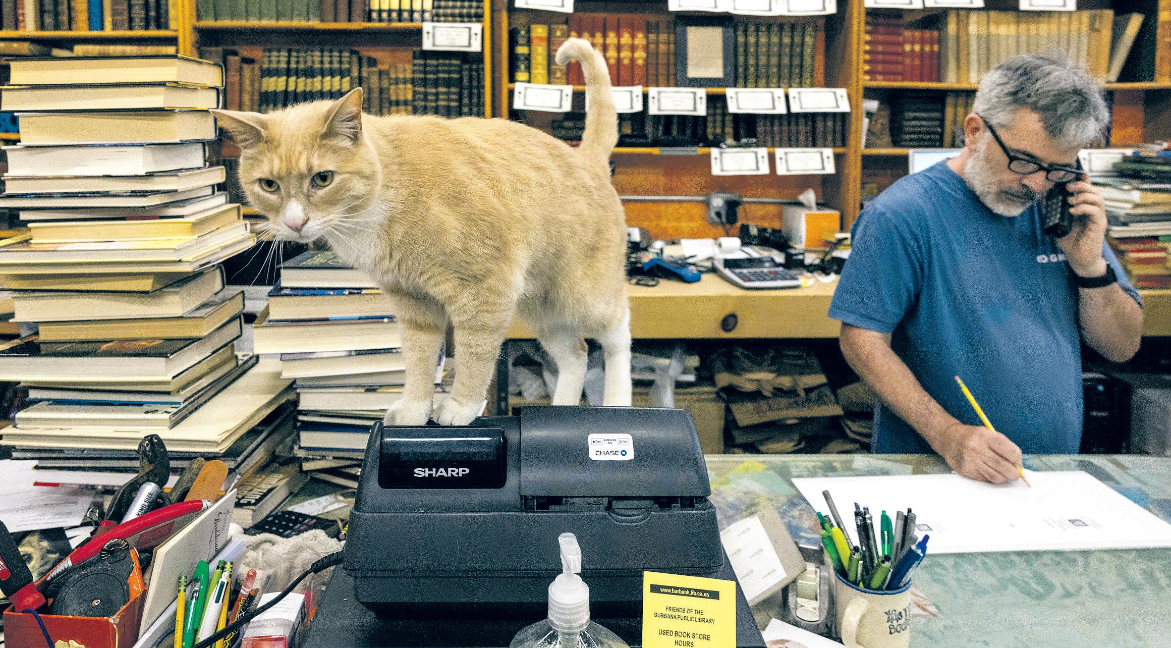 ENJOYING THIS HEADLINE? YOU'RE A RARITY