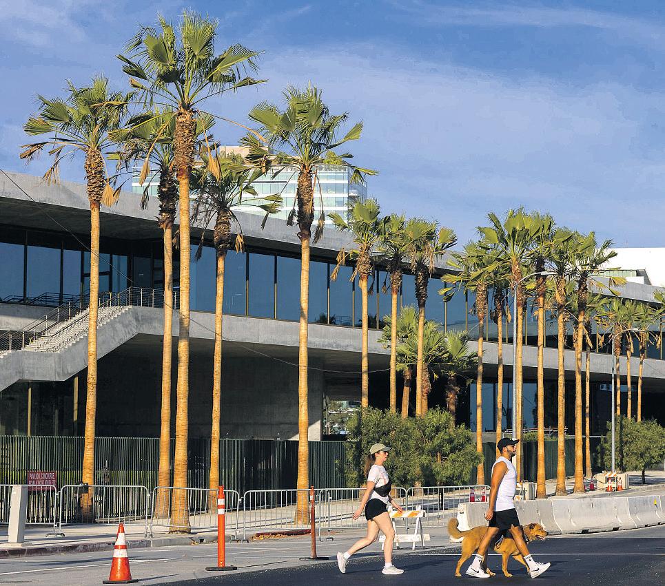 Artsy but problematic palms