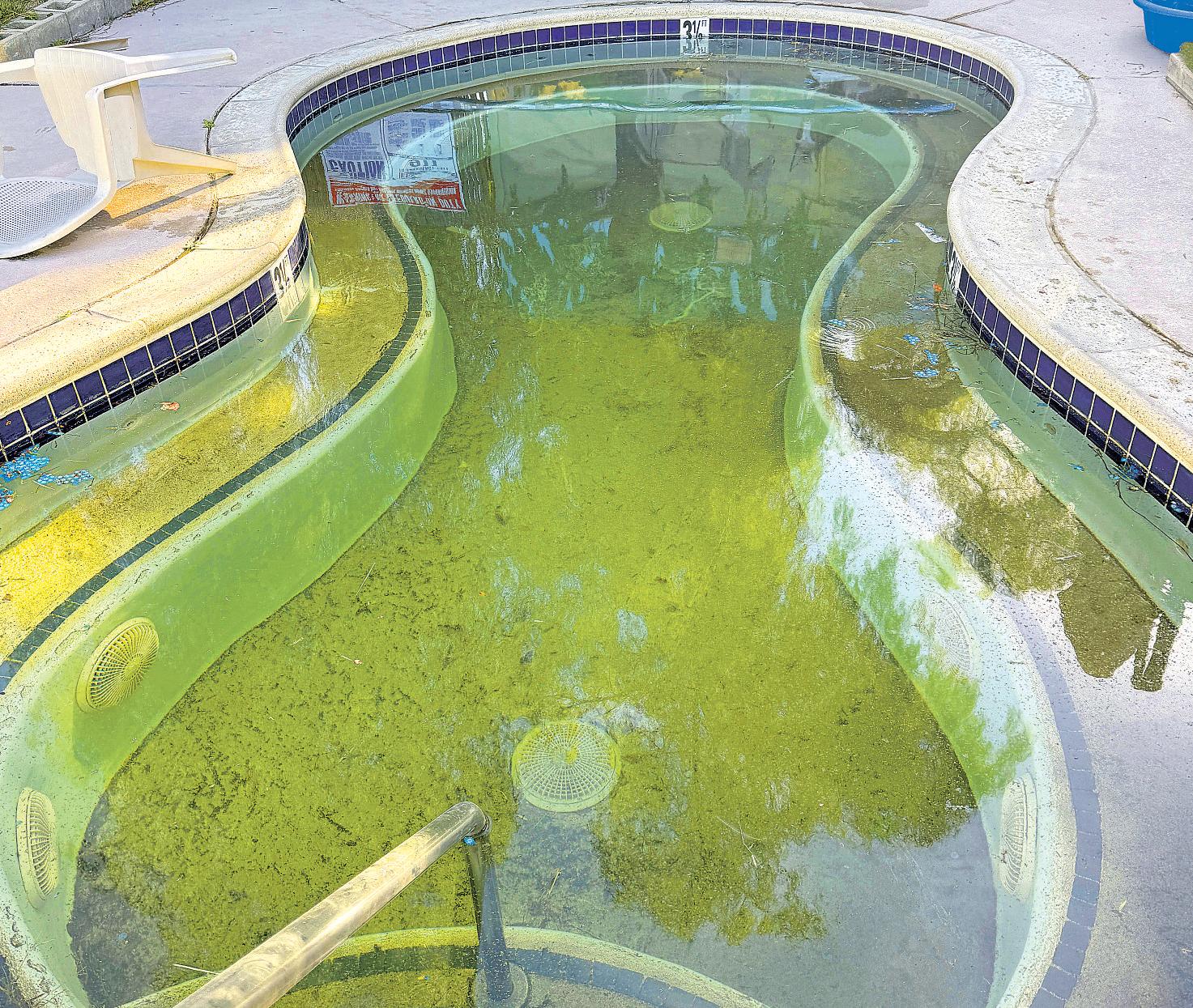 Nudists allege ranch owners' neglect