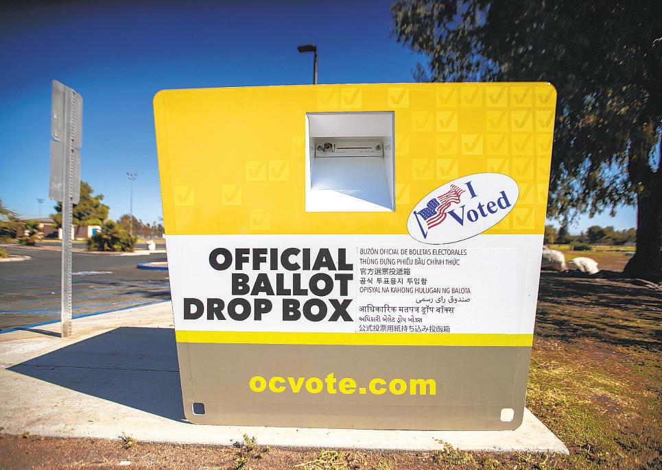 Woman charged after ballots were cast in her dog’s name twice