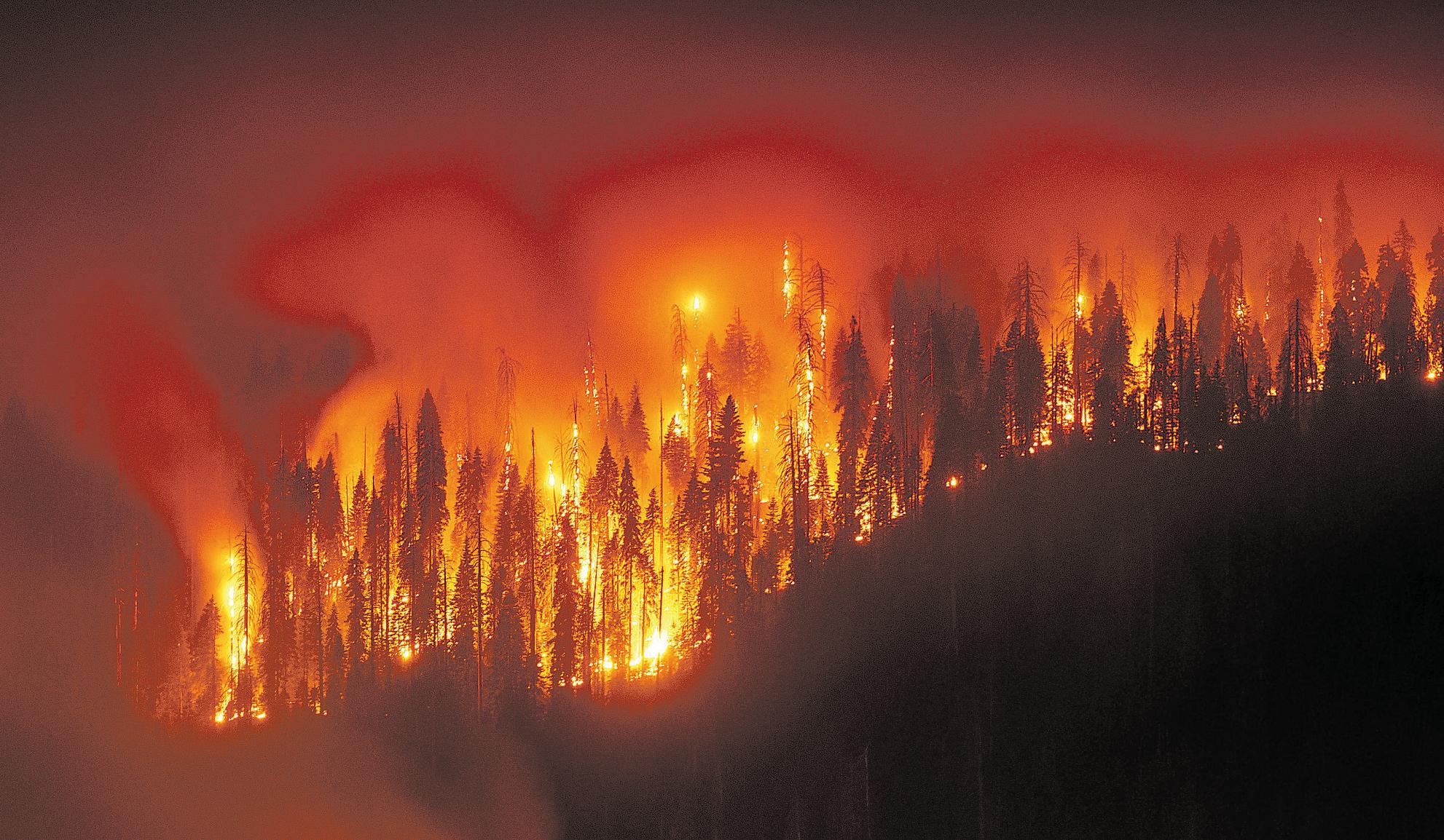 Garnet fire burns into large grove of giant sequoias