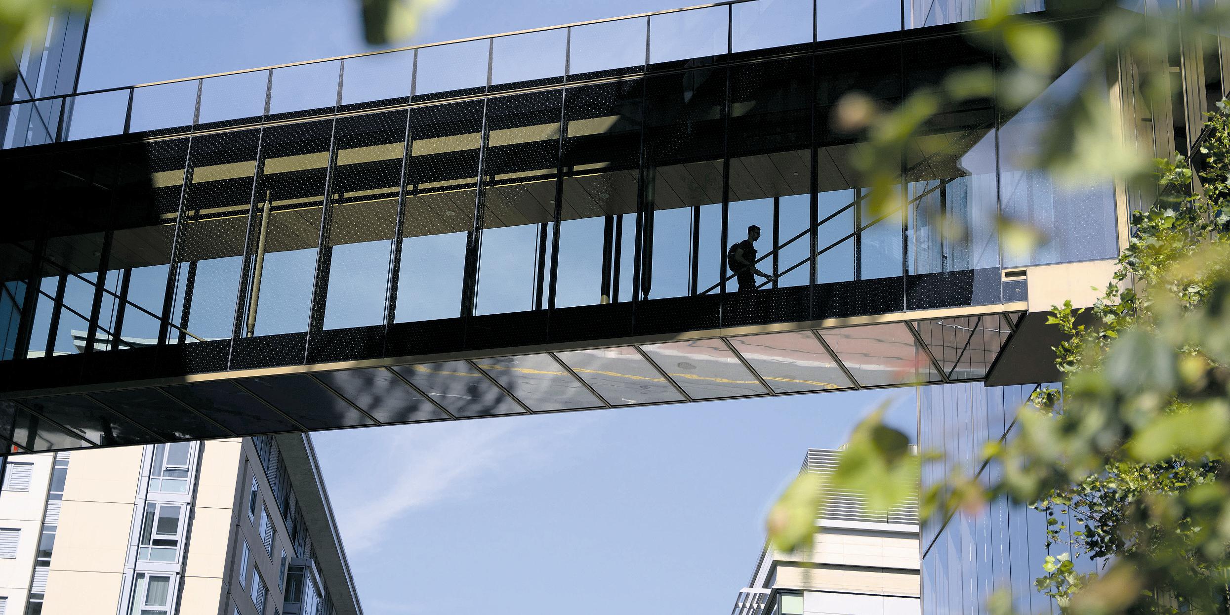 OpenAI adds parental controls after teen's death