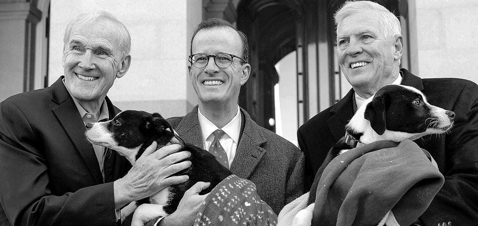 State lawmakers OK ban on pet dealer websites