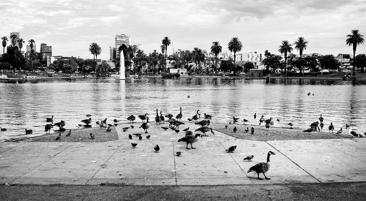 Prisoner killed outside facility for inmates nearing end of sentences