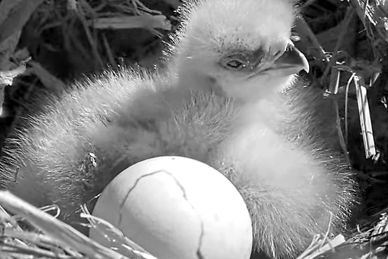 Bird advocates vow a development fight