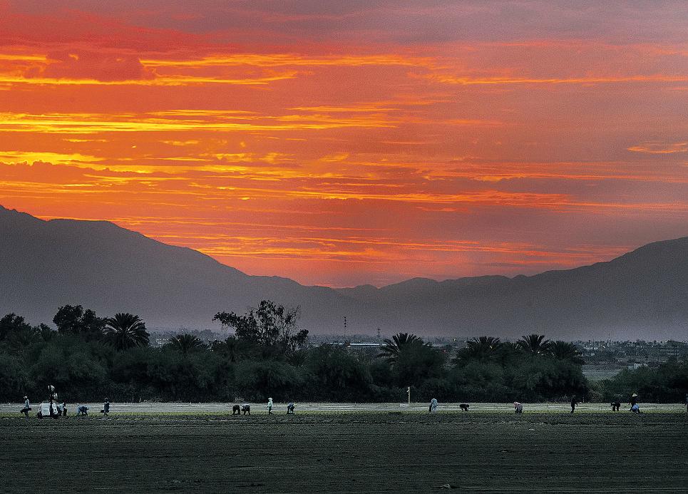 Gold rush seen in these California desert towns