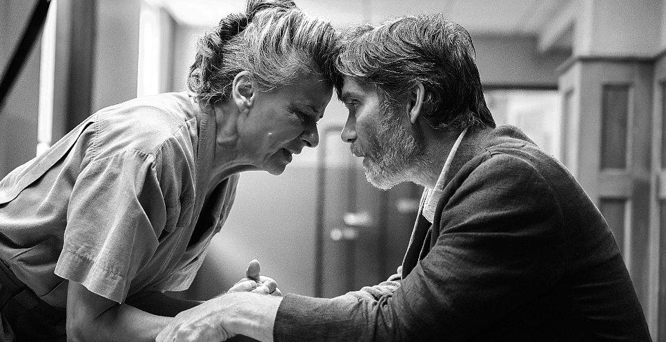 The lesson of ‘Steve’ gets muddled