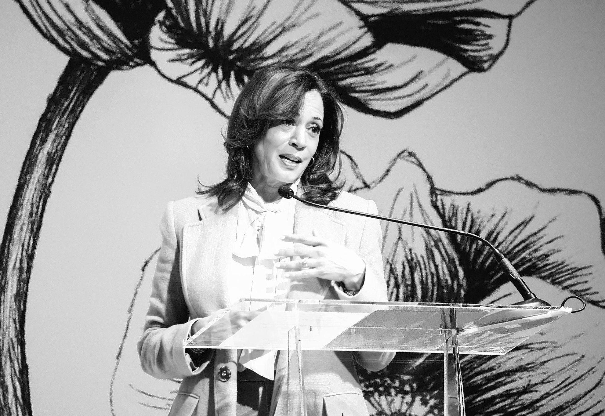 Harris' book offers little clarity on 2028