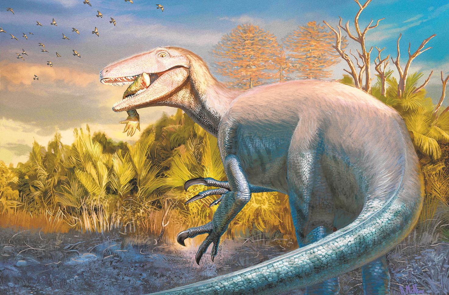 New species of dinosaur discovered in Argentina