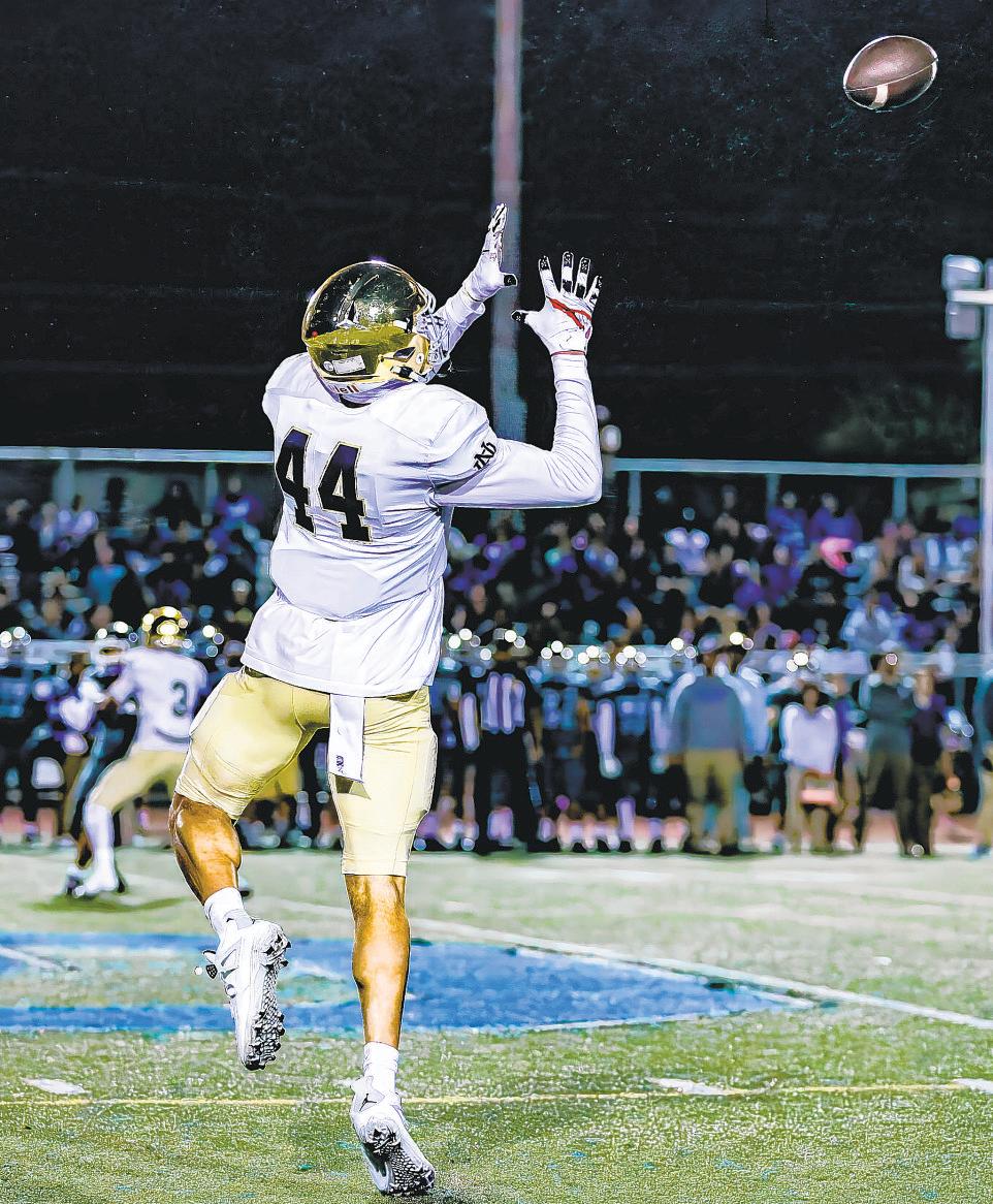 Stokes makes a splash on field