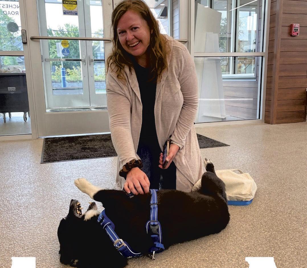 Dog gone — then home again, some 2,000 miles later