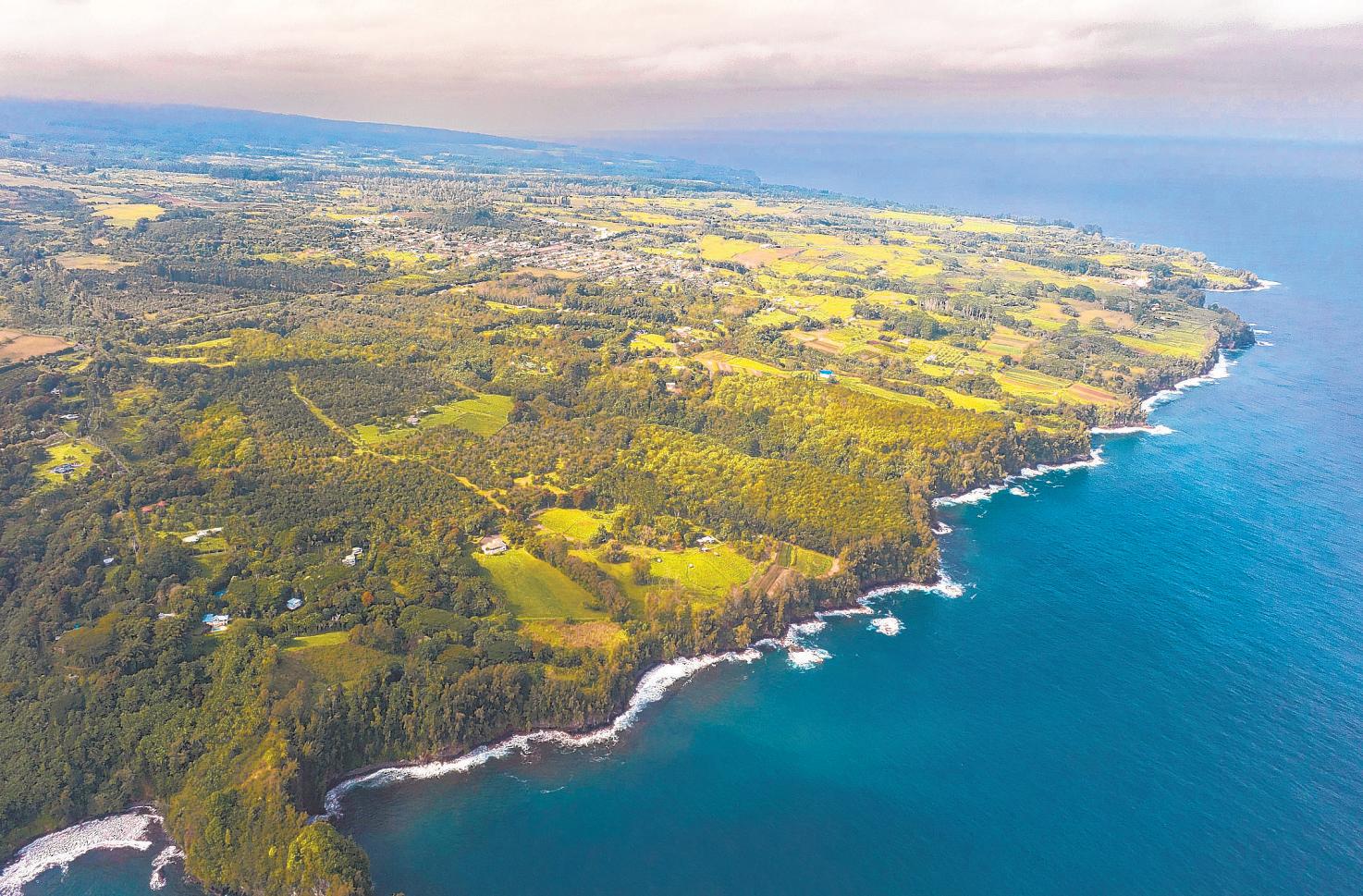 $25 a month to help restore forests