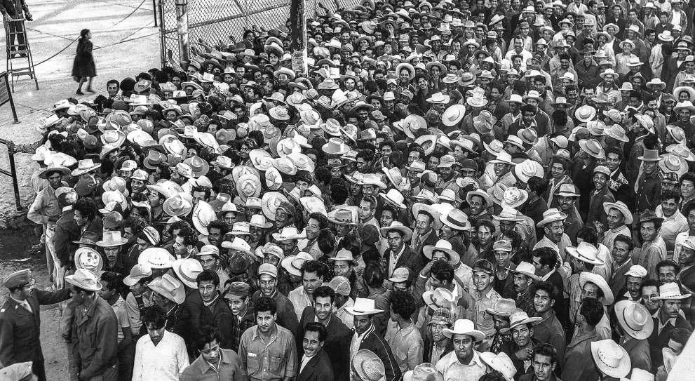 Ex-bracero does not want program to return